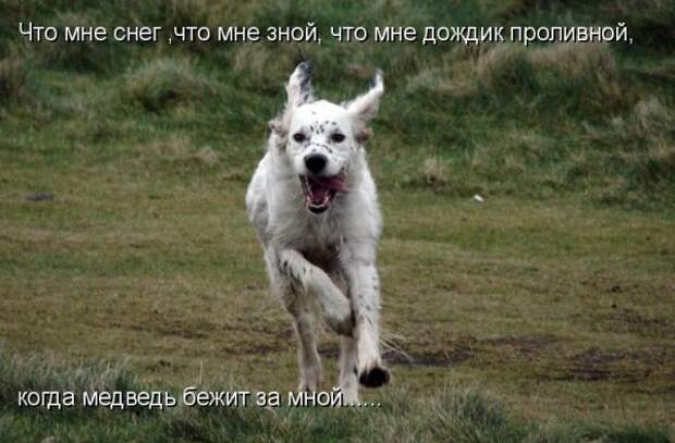 Кото матрица 7