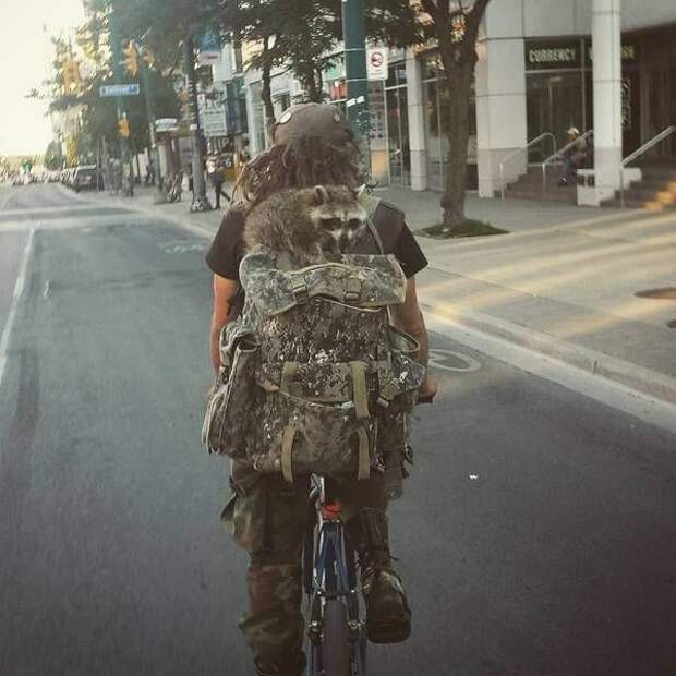 Прикольные картинки (102 фото)