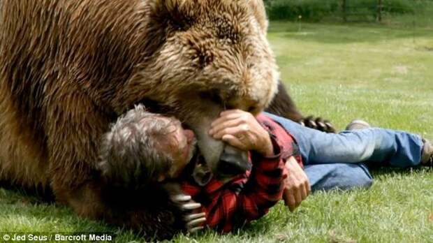 За кадром фильмов с участием медведей животные, кино