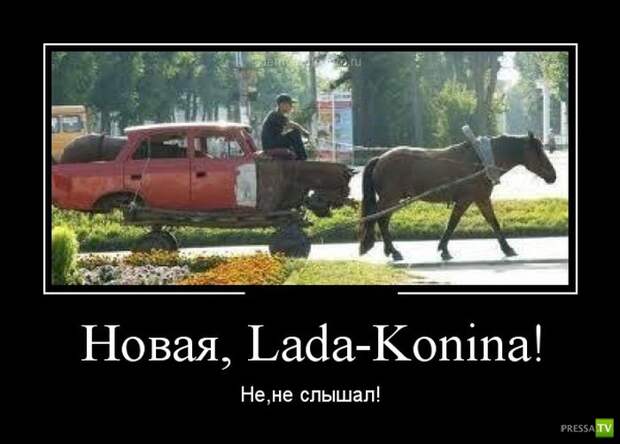 Демотиваторы на сентябрь 3, (30 фото)