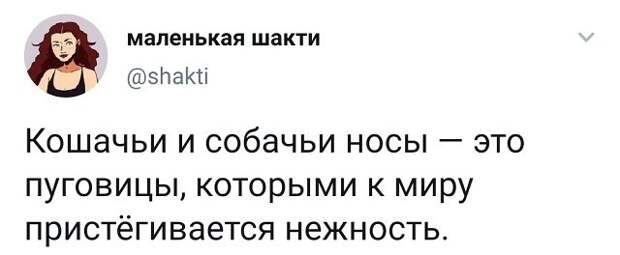 твит про носы