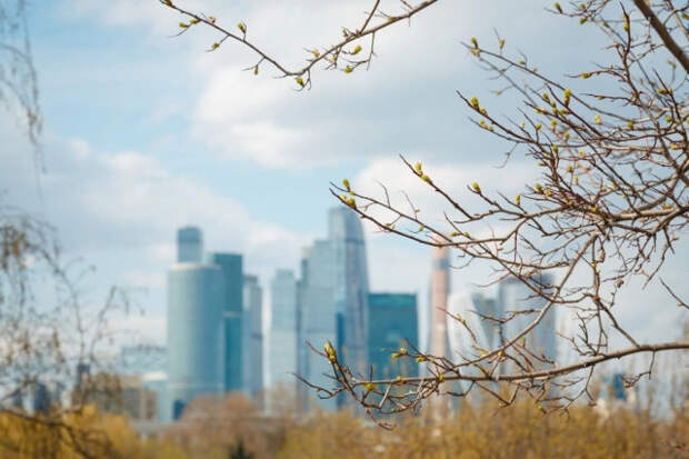 Температура в Москве вернётся к норме в ближайшие дни