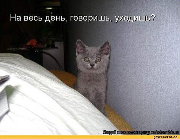 котоматрица,кавай,песочница