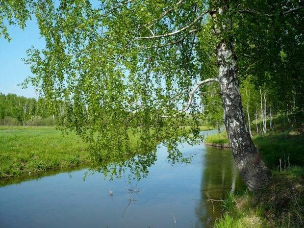 31 фото любителям природы. Просторы Алтая. Летом и зимой