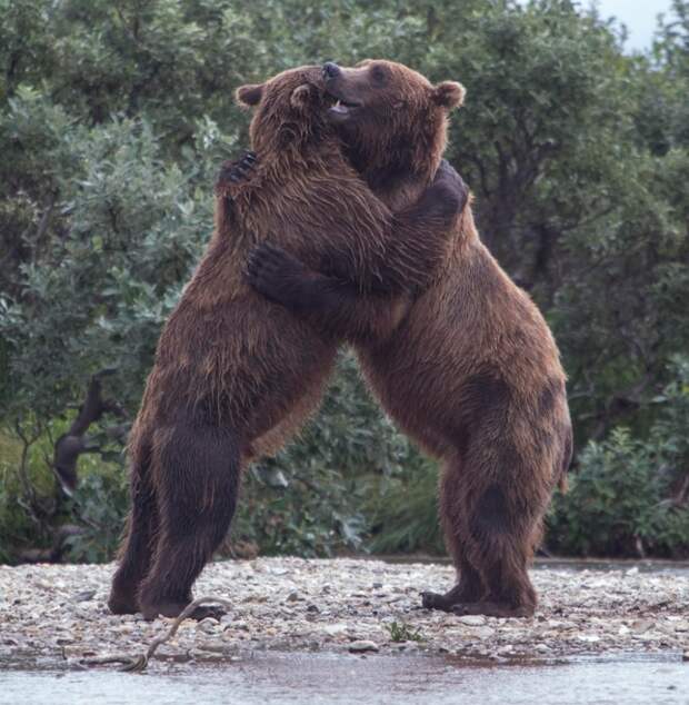 Лучшие фотографии месяца! интересное, фото