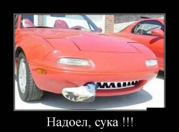 Демотиваторы Демотиваторы