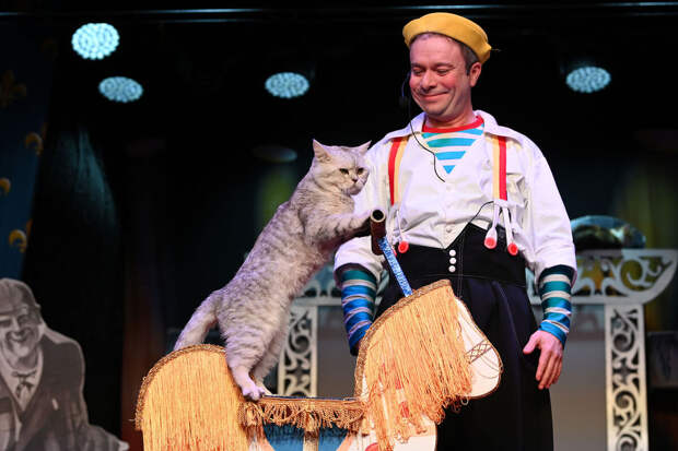 Режиссер Дмитрий Куклачев отказался от домашних кошек из-за плотного расписания