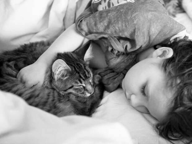 5-летняя девочка аутист и ее терапевтическая кошка Тула айрис грейс  (6)