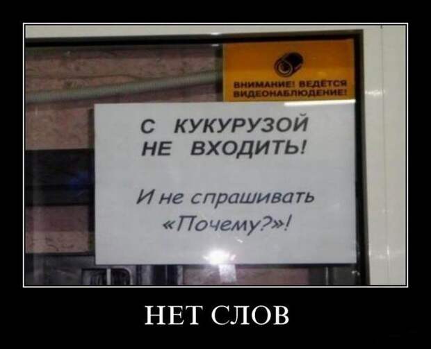 Демотиваторы демотиваторы