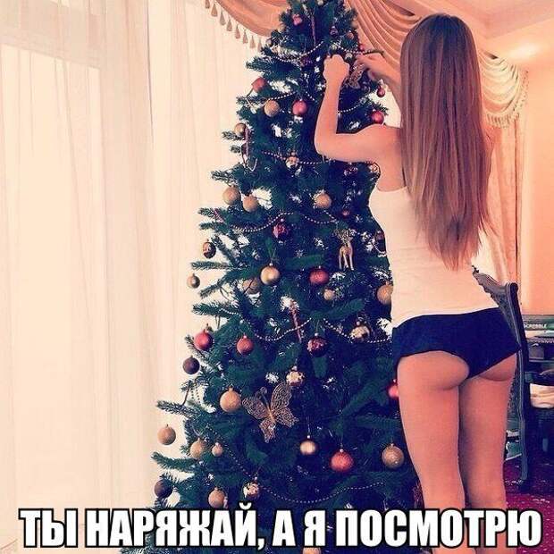 Прикольные картинки картики, прикол, юмор