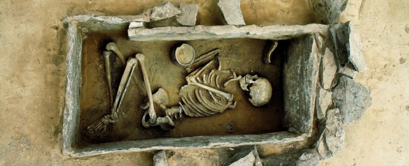 Skeleton_web_1024