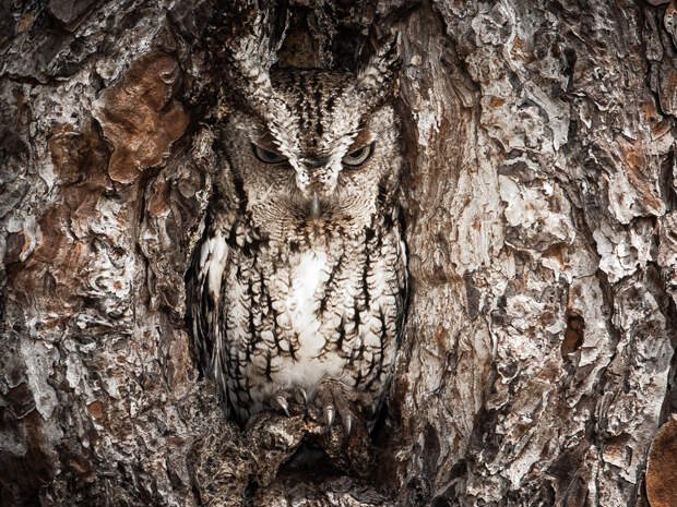 Фотоконкурс от журнала National Geographic Traveler bp100000 Фотоконкурс от журнала National Geographic Traveler 2013