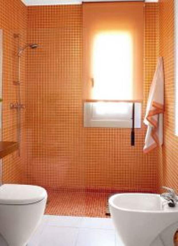 Дизайн ванной комнаты с туалетом2