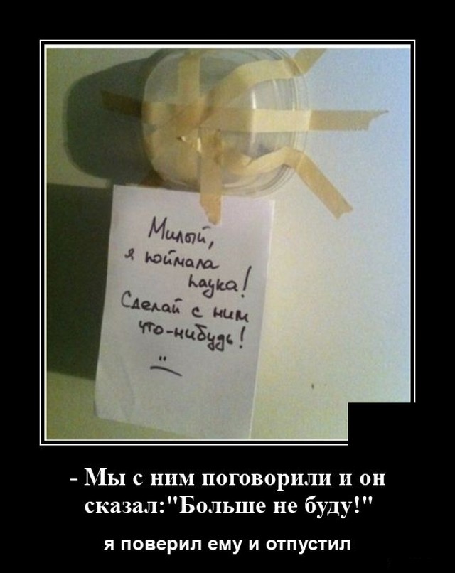 Демотиватор про паука