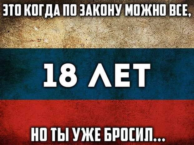 Прикольные картинки (96 фото) Прикольные картинки (96 фото)