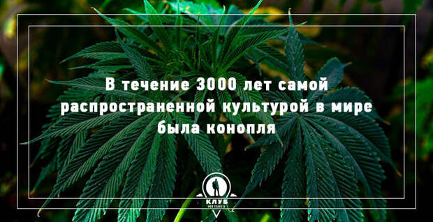 9 интересных фактов о мире в мире, факты
