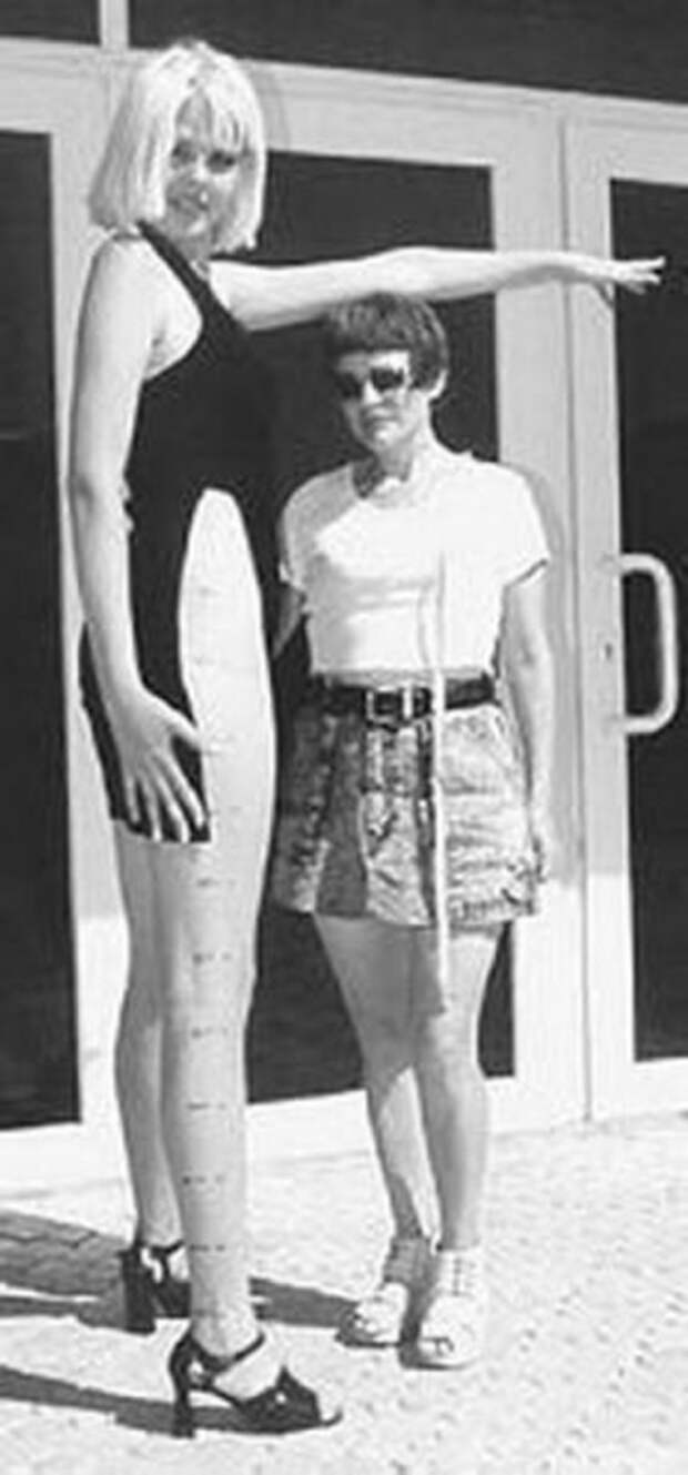 5218894_0_2_ (326x700, 104Kb)