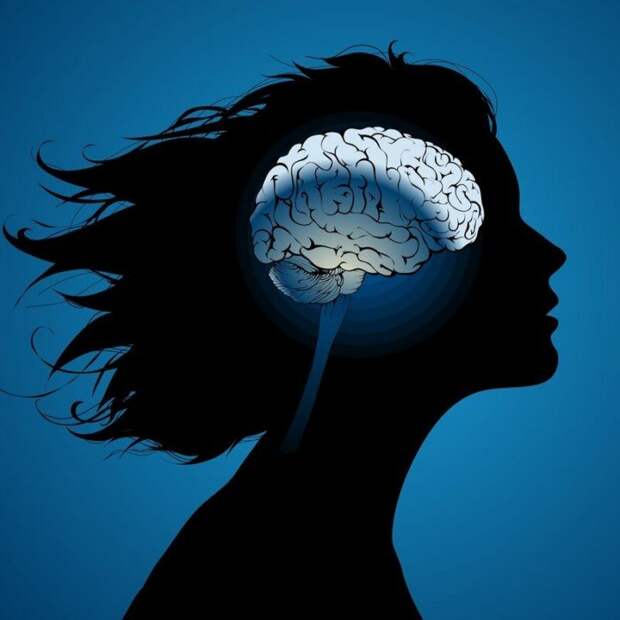 Можно ли повысить свой IQ