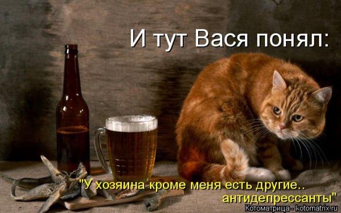 Прикольные котоматрицы Прикольные котоматрицы