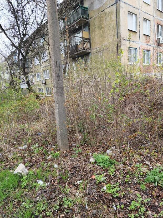 Уборка Буденновского района по ул Полоцкая, д. 4