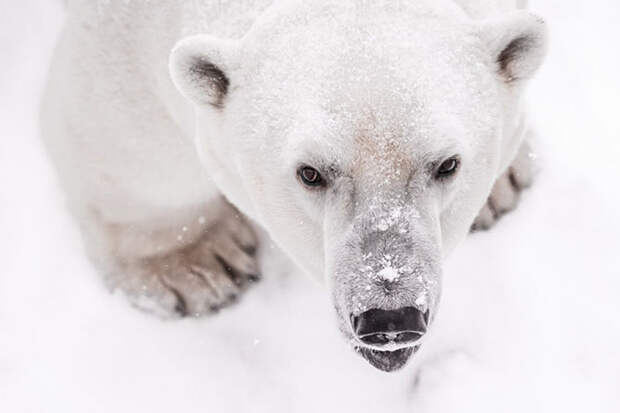 Лучшие фотографии сентября 2015 от National Geographic