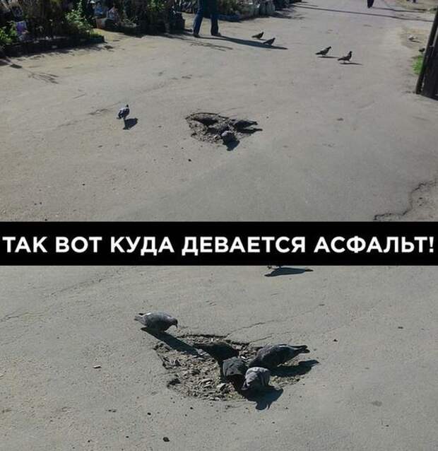 ПОДБОРКА ФОТОПРИКОЛОВ № 311 ПОДБОРКА ФОТОПРИКОЛОВ № 311