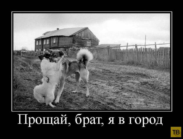 Демотиваторы от 23.06.2015 (31 фото)