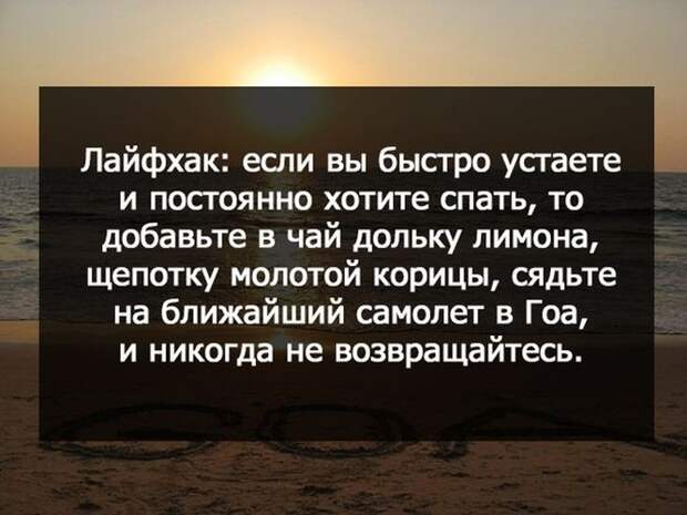 Прикольные картинки (96 фото)
