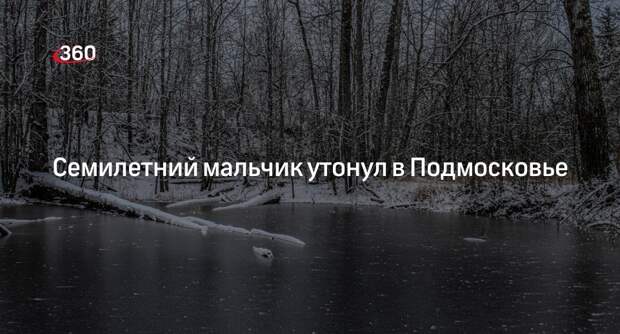 Прокуратура заинтересовалась гибелью 7-летнего мальчика в Подмосковье