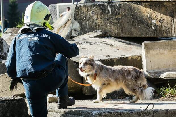 Пожарно-спасательный центр Москвы. Фото: Департамент ГОЧСиПБ г.Москвы