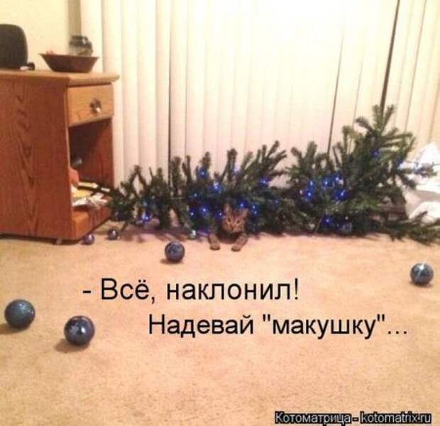 Котоматрицы