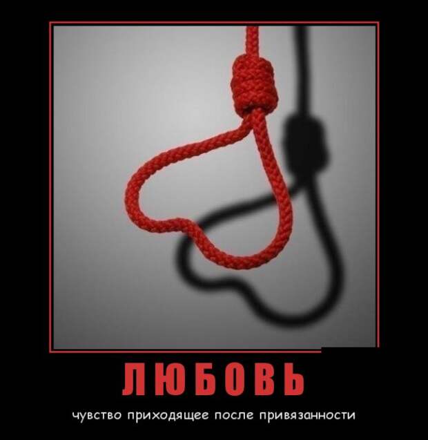Демотиваторы (30 фото)