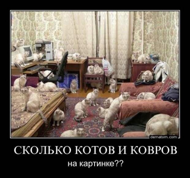 Веселые демотиваторы у нас каждый день!