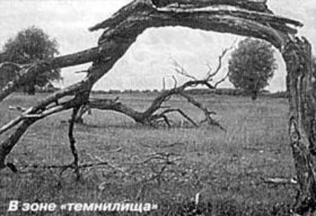 Окунево. В зоне "Темнилища"