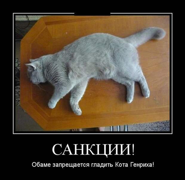 Подборка демотиваторов Подборка демотиваторов демотиваторы, юмор