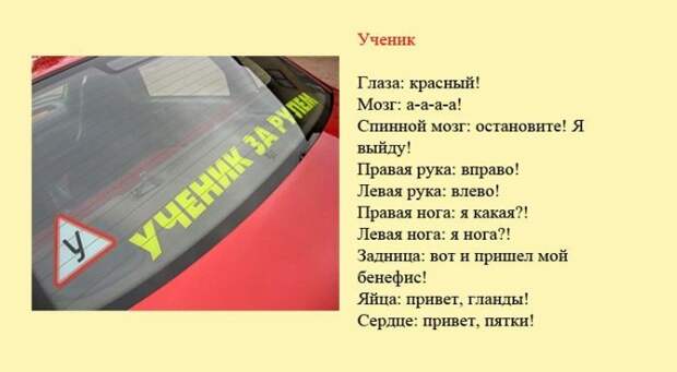3286968_ychenik (700x385, 37Kb)
