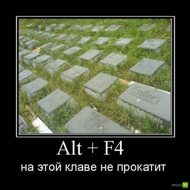 Демотиваторы на август, часть 22 (30 фото)