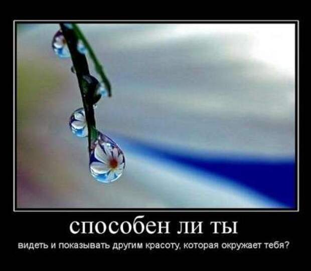 Демотиваторы по русски со смыслом.
