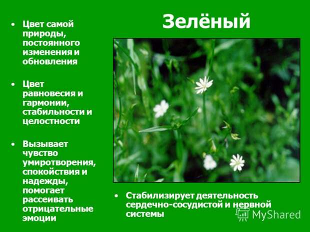 http://images.myshared.ru/4/316616/slide_8.jpg