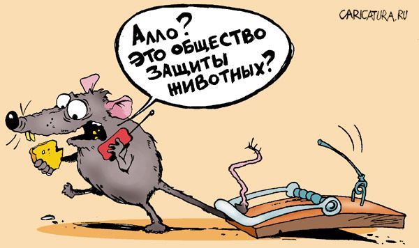 Прикольные фотки :) (30штук)