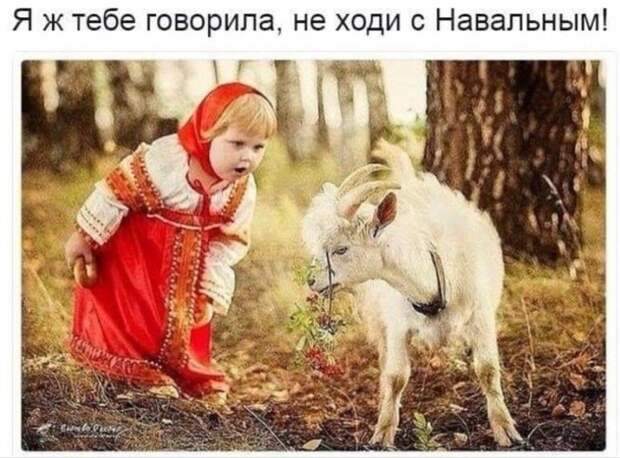 Мелочь, а приятно: История ничему не учит баранов...
