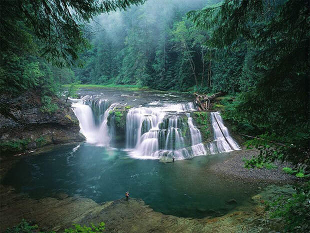Национальный заповедник Гиффорд Пинчот, Вашингтон, США природа.красота, факты