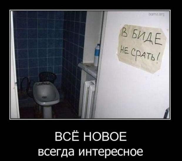 Демотиваторы с приколами, развеселят кого угодно.