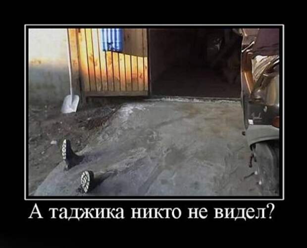 Демотиваторы приколы картинки, заряд отличного настроения!