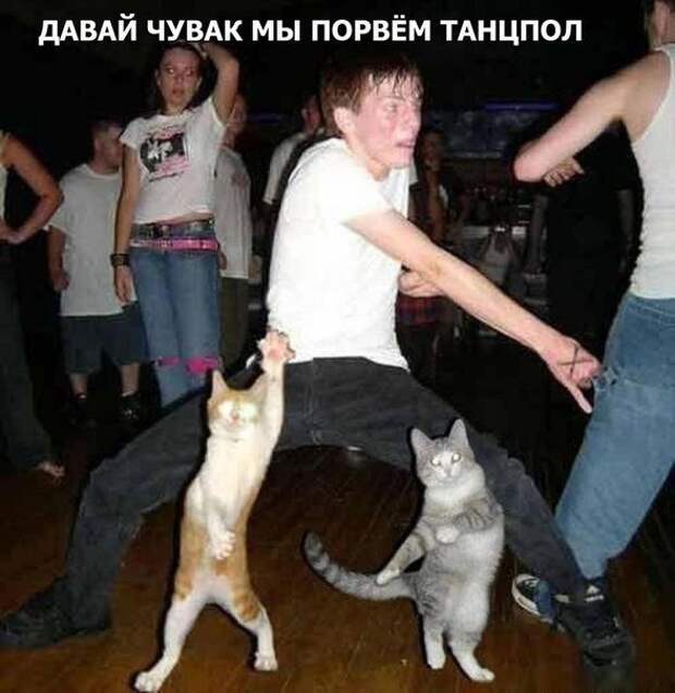 Разнообразная подборка =) Улыбок! Разнообразная подборка =) Улыбок!