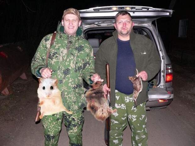 «Дождь» срочно возвращают для новой болотной?