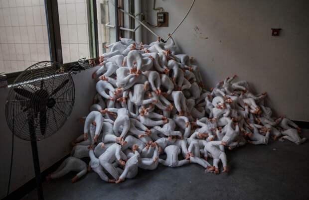 Пластиковые куклы на фабрике игрушек в провинции Чжэцзян, Китай, 17 сентября 2015 года. В 2015 году многие фабрики игрушек столкнулись с резким снижением спроса на их продукцию в Европе и Латинской Америке в связи с падением курса российского рубля и инфляцией в странах Южной Америки. 
