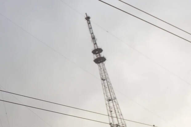 В Алтайском крае пропавшего подростка нашли мертвым у телевышки