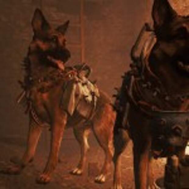 doges