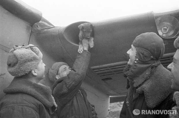 Редкие фотографии Великой Отечественной войны война, ссср, фото. великая отечественная война